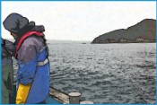 어업실태조사